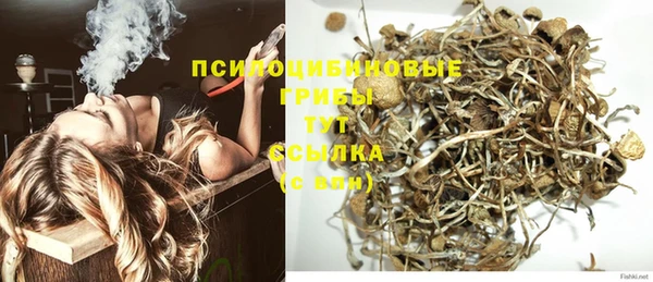 амф Бородино