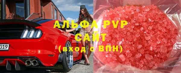 амф Бородино