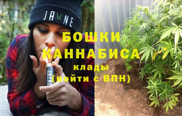 амф Бородино