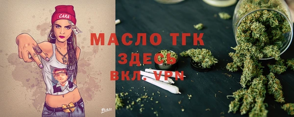 амф Бородино