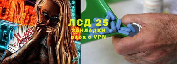 амф Бородино