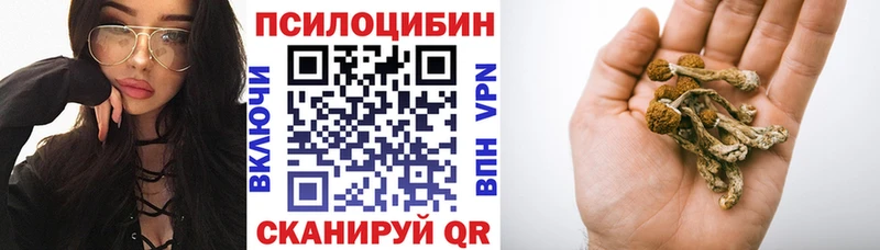 Купить  Лесной  Галлюциногенные грибы прущие грибы 